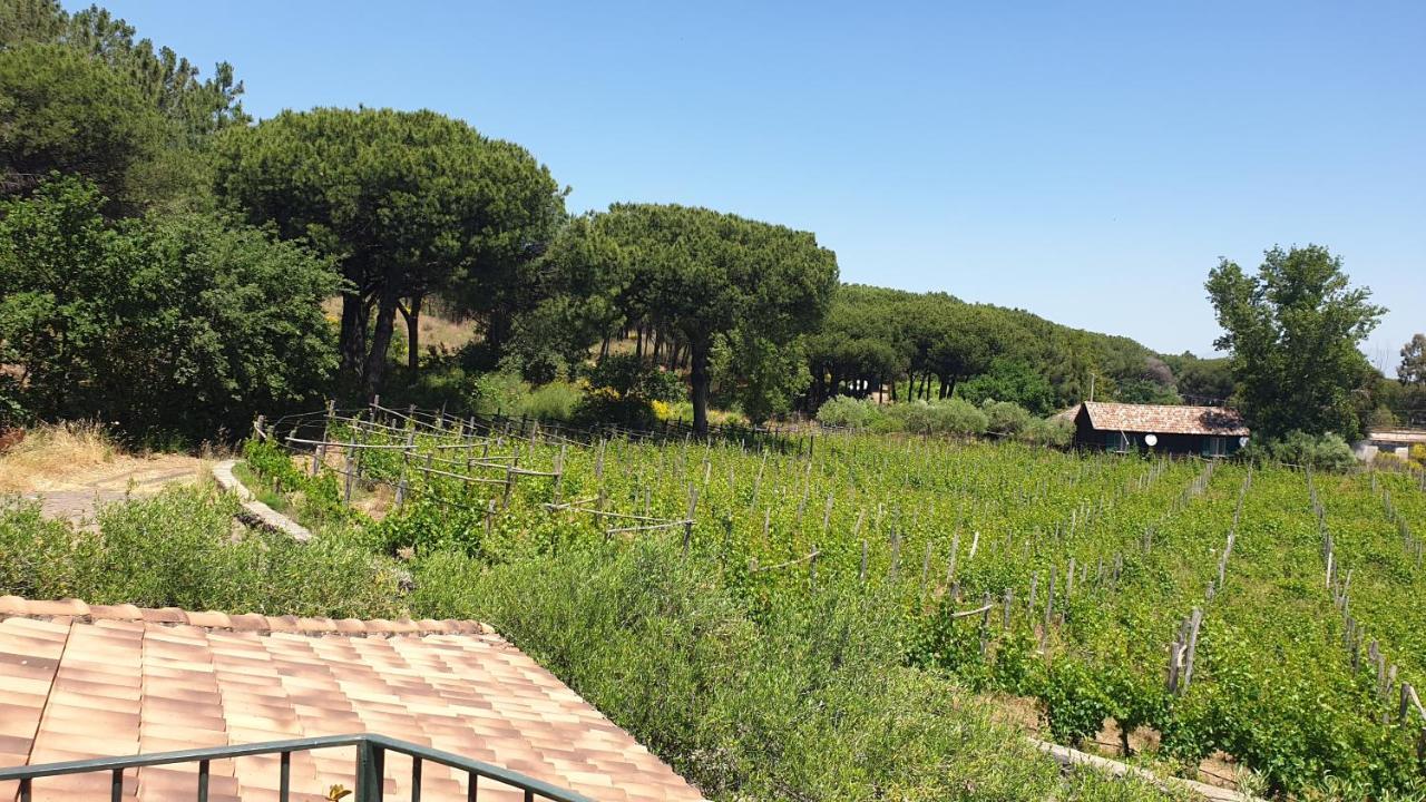 Willa Beb Casale Pompei Rendine Boscotrecase Zewnętrze zdjęcie